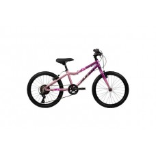 Literide Kinderfiets - Meisjes - 20 inch - Paars/Roze - Twee handremmen