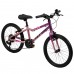 Literide Kinderfiets - Meisjes - 20 inch - Paars/Roze - Twee handremmen